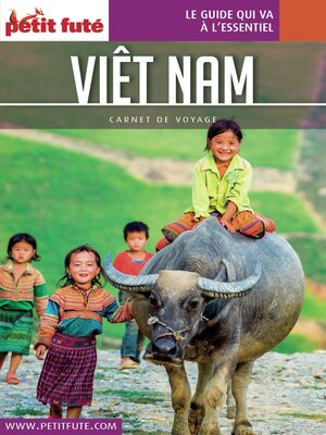 cover image of VIETNAM 2018 Carnet Petit Futé